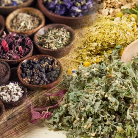 142A2D38-49D0-4503-A03A-B9AC69762474